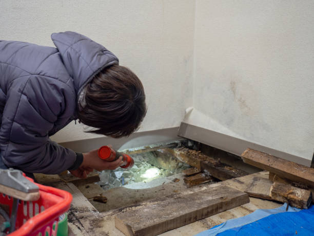 Best HVAC Mold Inspection and Cleaning  in Garrison, TX