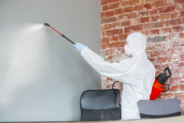 Best Water Damage & Mold Remediation  in Garrison, TX